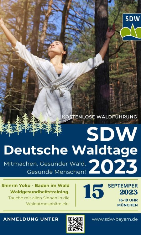 Waldgesundheitstraining 15.09.2023 Deutsche Waldtage